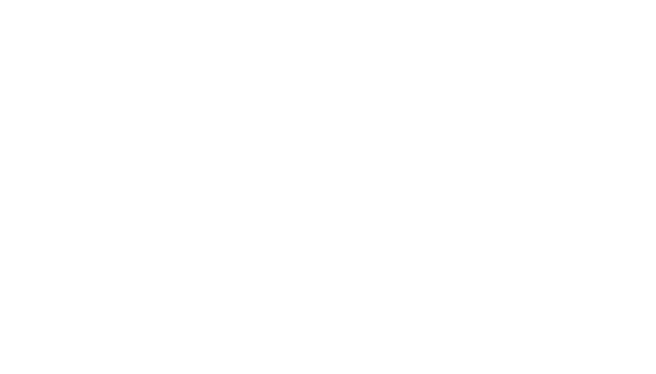 Логотип клиента 3